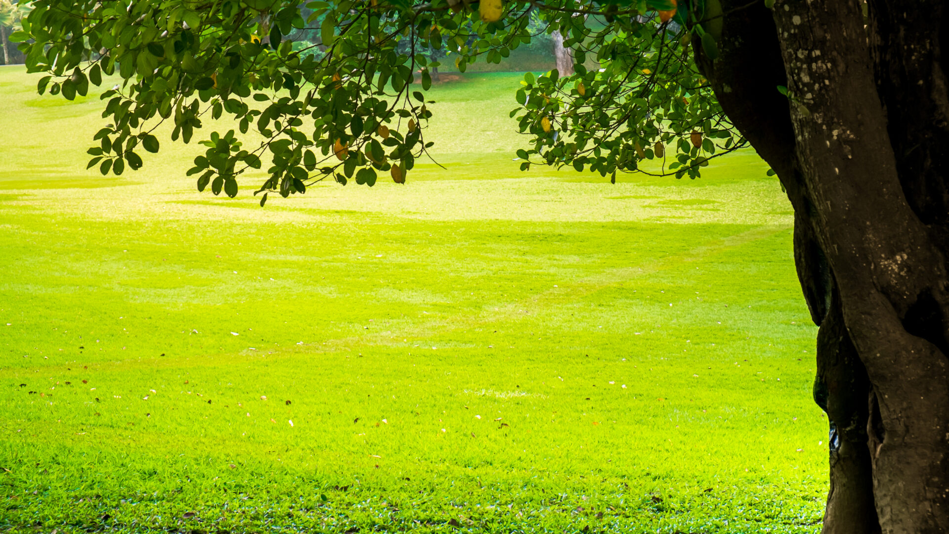 projekční činnost